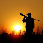 APIDAV prezenta in Comisia de Aparare, Ordine Publica si Siguranta Nationala a Senatului Romaniei